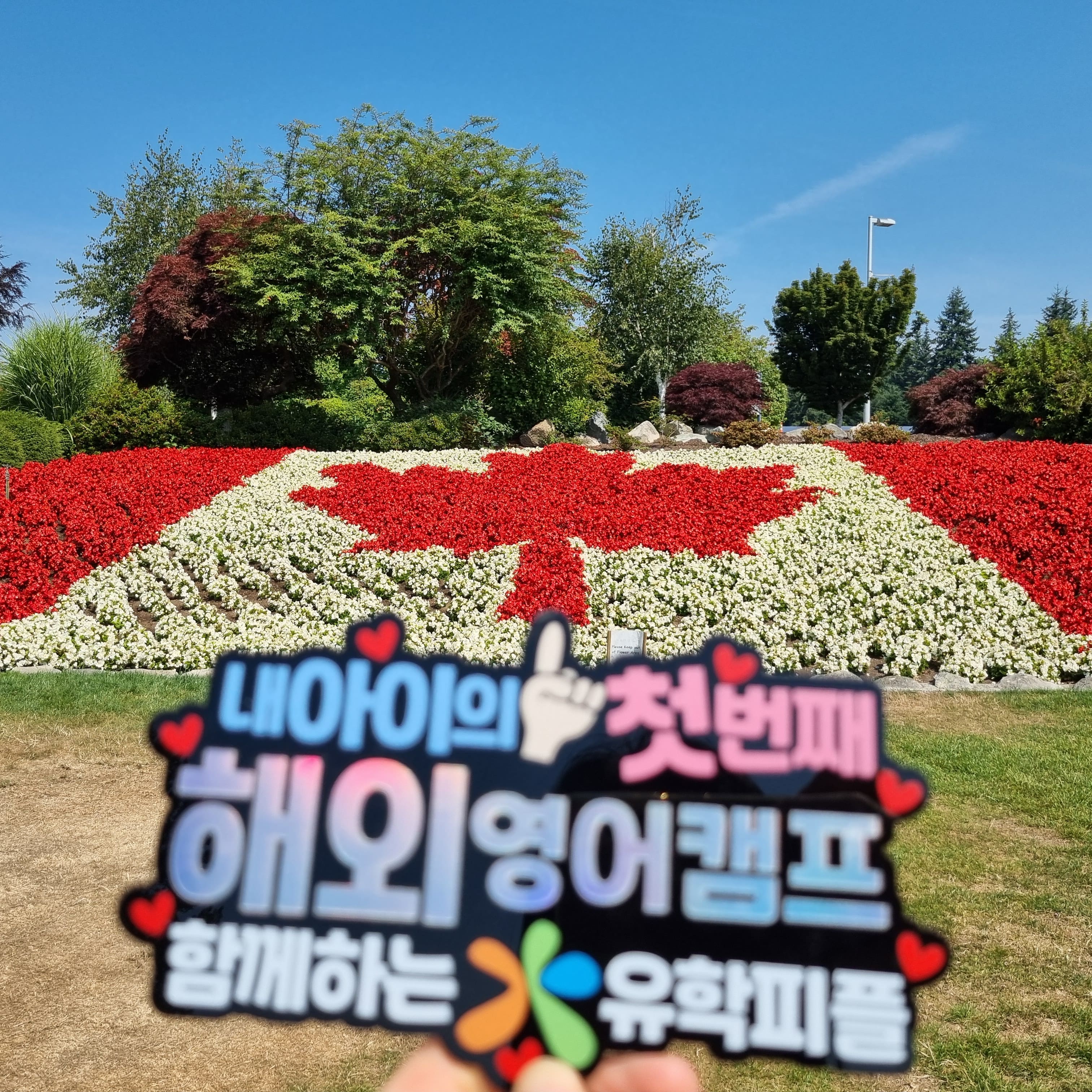 캠프 활동 사진